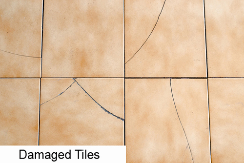 vac15